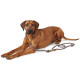 Hunter - Sansibar Rantum Adjustable Training Lead - Grey