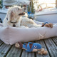 Hunter - Sansibar Rantum Dog Bed - Beige