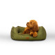 Joules - Bee Print Box Dog Bed