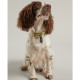Joules - Coastal Dog Collar - Yellow Stripe
