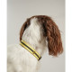 Joules - Coastal Dog Collar - Yellow Stripe
