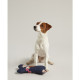 Joules - Bone Dog Toy - Floral Print