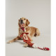 Joules - How Crafty Fox Dog Toy