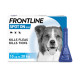 Frontline - Spot On Flea &amp; Tick Treatment Pipettes - Medium Dogs 10-20kg