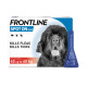 Frontline - Spot On Flea &amp; Tick Treatment Pipettes - Extra Large Dogs 40kg+
