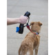 I&#039;m Gismo - Dog Lead Handle With Poo Bag Dispenser - Midnight Blue