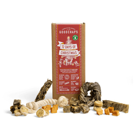 GoodChaps - 12 Days of Christmas Dog Gift Box