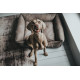 Hunter Bologna Dog Sofa Bed - Stone