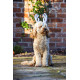 Rosewood - Christmas Antlers For Dogs