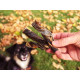 GoodChaps - Catfish Twirls Dog Treats