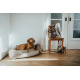 Hunter Livingston Corner Dog Bed - Beige