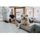 Hunter Prag Easy Clean Dog Bed - Grey