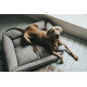 Hunter Prag Easy Clean Dog Bed - Grey