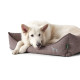 Hunter Prag Easy Clean Dog Bed - Rose