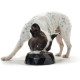 Hunter Pet - Kimberley Dog Feeding Bowl - White