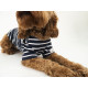 Joules Harbour Dog Jumper