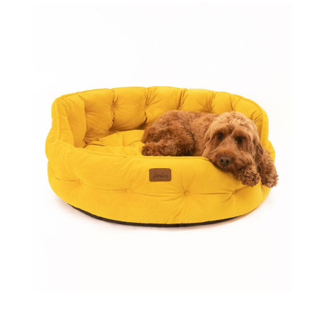 Joules Velvet Chesterfield Dog Bed - Yellow
