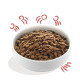 Edgard &amp; Cooper - Free-Run Chicken &amp; Salmon - Dry Senior Dog Food