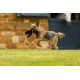 House of Paws - Duck! Canvas Thrower Dog Toy - Coco