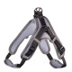 Hunter Harness Neopren Vario Quick S, black/grey