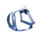 Hunter Neoprene Harness – Blue
