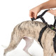 Hunter Nylon Safety Harness Vario Rapid – Black
