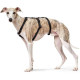 Hunter Nylon Safety Harness Vario Rapid – Black
