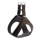 Hunter Hilo Leather Harness – Brown