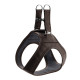 Hunter Hilo Leather Harness – Brown
