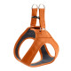 Hunter Hilo Leather Harness – Orange
