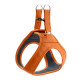 Hunter Hilo Leather Harness – Orange
