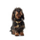 Hunter - List Rope Collar – Beige