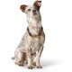 Hunter - Rope Collar Oss – Brown