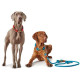 Hunter - Rope Collar Oss – Teal