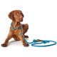 Hunter - Rope Collar Oss – Teal