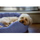 Rosewood - Blue Sky Stripe Square Dog Bed