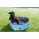 Rosewood - Cool Down Foldable Dog Paddling Pool