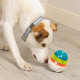 iQuties - Active Training Wobbler Puzzle Toy - Small Dogs &amp; Cats
