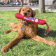 Kong - Signature Stick With Rope Dog Toy