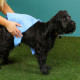 Just Chillin&#039; - Cooling Dog Towel