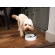 Rosewood - Smart Slow Feeder - Dog Bowl