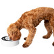 Rosewood - Smart Slow Feeder - Dog Bowl