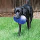 KONG - Bounzer Ultra Dog Toy