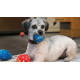 KONG - Occasions Birthday Balls Dog Toy x2