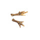 Hollings - Chicken Feet Dog Treats 2kg