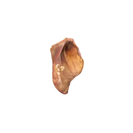 Hollings - Pig Ears Dog Treats