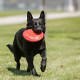 Kong - Classic Flyer Dog Toy - Large