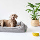 Hunter - Eiby Dog Sofa Bed