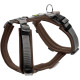 Hunter Pet - Maldon Harness