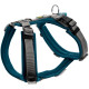 Hunter Pet - Maldon Harness